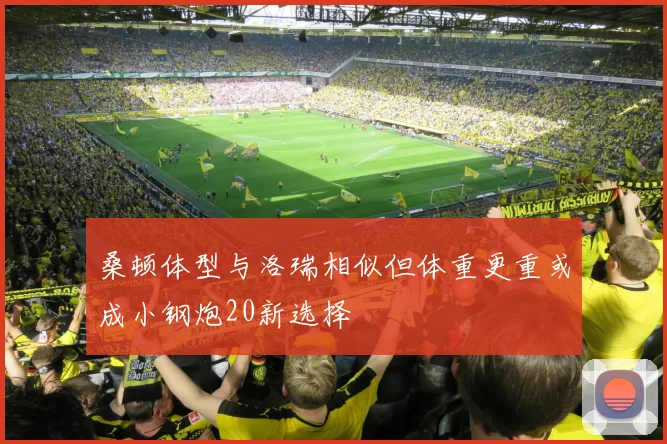 桑顿体型与洛瑞相似但体重更重或成小钢炮20新选择